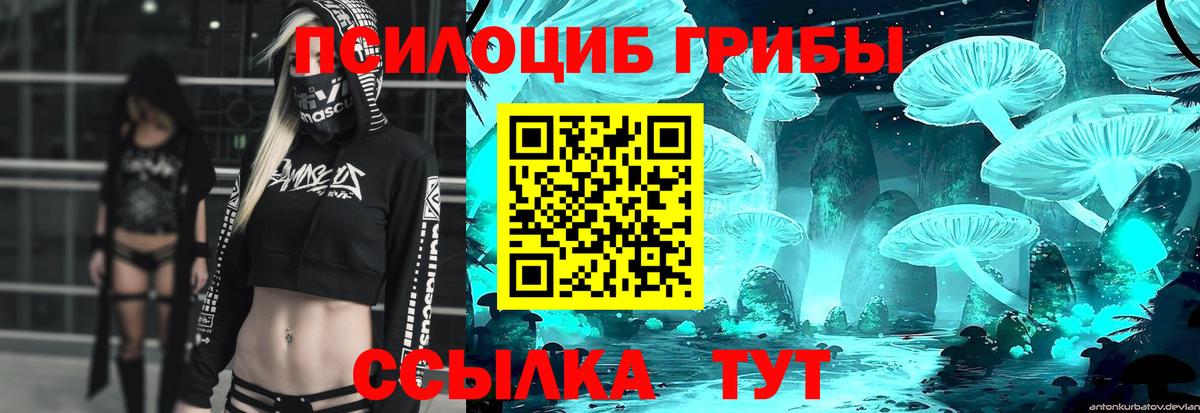 Псилоцибиновые грибы Cubensis  Вход с VPN  Кемерово 